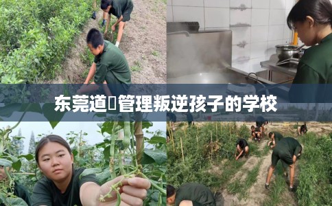 东莞道滘管理叛逆孩子的学校