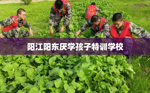 阳江阳东厌学孩子特训学校
