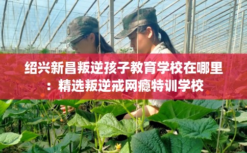 绍兴新昌叛逆孩子教育学校在哪里：精选叛逆戒网瘾特训学校