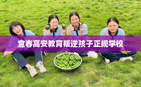 宜春高安教育叛逆孩子正规学校