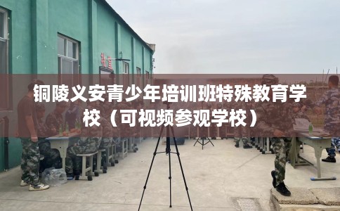 铜陵义安青少年培训班特殊教育学校（可视频参观学校）