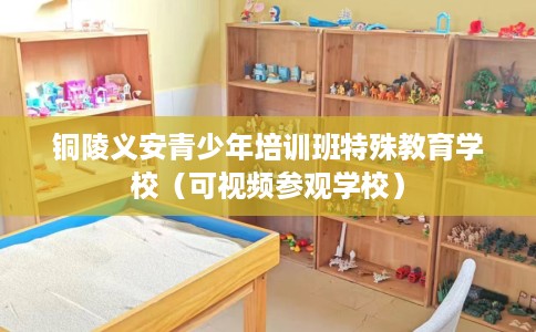 铜陵义安青少年培训班特殊教育学校（可视频参观学校）