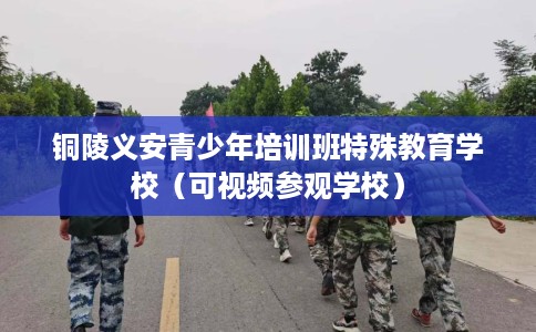 铜陵义安青少年培训班特殊教育学校（可视频参观学校）