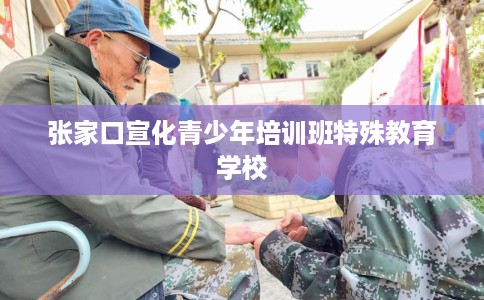 张家口宣化青少年培训班特殊教育学校