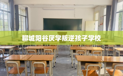 聊城阳谷厌学叛逆孩子学校