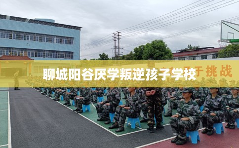聊城阳谷厌学叛逆孩子学校
