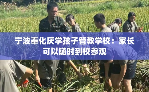 宁波奉化厌学孩子管教学校：家长可以随时到校参观