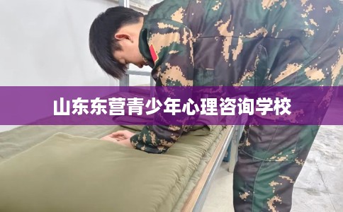 山东东营青少年心理咨询学校