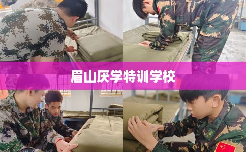 眉山厌学特训学校