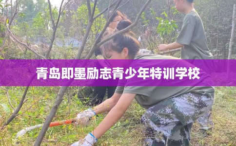 青岛即墨励志青少年特训学校