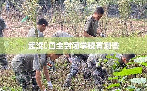 武汉硚口全封闭学校有哪些