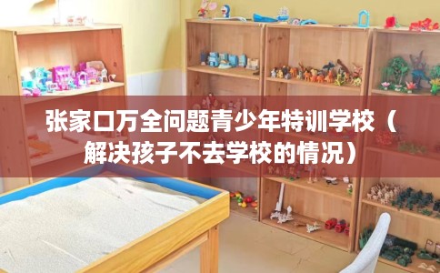张家口万全问题青少年特训学校（解决孩子不去学校的情况）