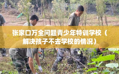张家口万全问题青少年特训学校（解决孩子不去学校的情况）