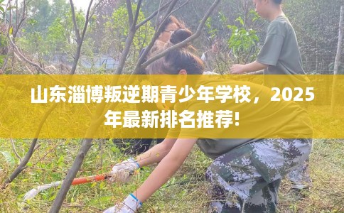 山东淄博叛逆期青少年学校，2025年最新排名推荐!
