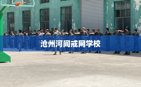 沧州河间戒网学校