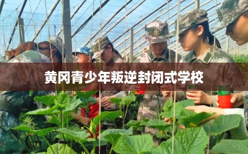 黄冈青少年叛逆封闭式学校