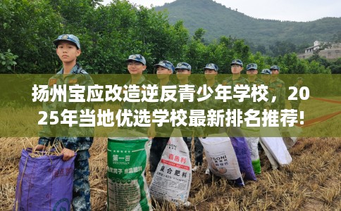 扬州宝应改造逆反青少年学校，2025年当地优选学校最新排名推荐!