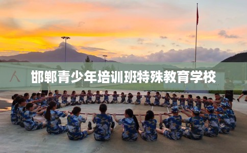 邯郸青少年培训班特殊教育学校