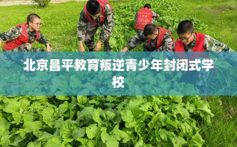 北京昌平教育叛逆青少年封闭式学校
