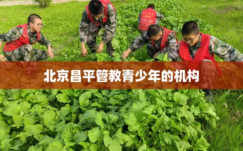 北京昌平管教青少年的机构