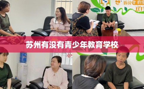 苏州有没有青少年教育学校