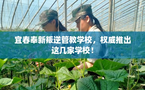 宜春奉新叛逆管教学校，权威推出这几家学校！