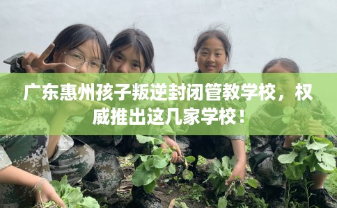 广东惠州孩子叛逆封闭管教学校，权威推出这几家学校！