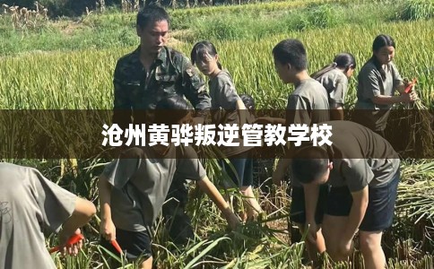 沧州黄骅叛逆管教学校