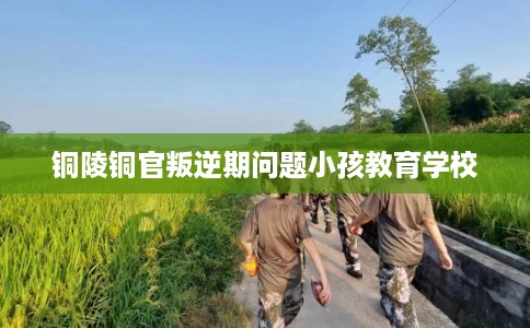 铜陵铜官叛逆期问题小孩教育学校