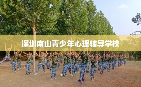 深圳南山青少年心理辅导学校
