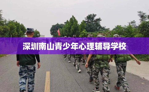 深圳南山青少年心理辅导学校