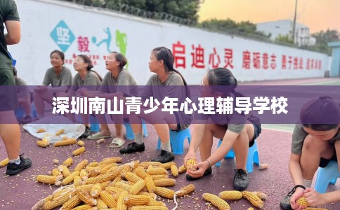 深圳南山青少年心理辅导学校