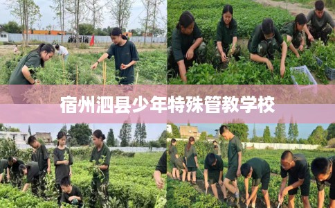 宿州泗县少年特殊管教学校