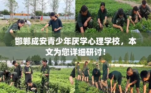 邯郸成安青少年厌学心理学校，本文为您详细研讨！