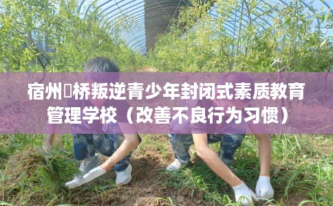 宿州埇桥叛逆青少年封闭式素质教育管理学校(改善不良行为习惯) 宿州埇桥叛逆青少年封闭式素质教育管理学校(改善不良行为习惯)