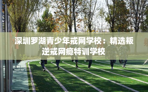 深圳罗湖青少年戒网学校：精选叛逆戒网瘾特训学校