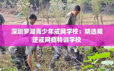 深圳罗湖青少年戒网学校：精选叛逆戒网瘾特训学校