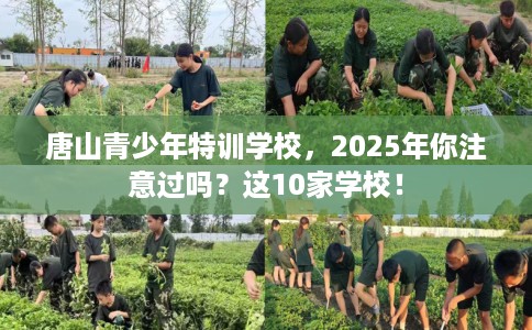 唐山青少年特训学校，2025年你注意过吗？这10家学校！