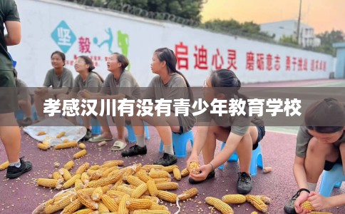 孝感汉川有没有青少年教育学校