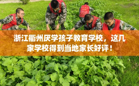 浙江衢州厌学孩子教育学校，这几家学校得到当地家长好评！