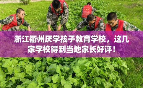 浙江衢州厌学孩子教育学校，这几家学校得到当地家长好评！