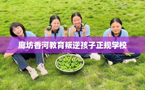 廊坊香河教育叛逆孩子正规学校