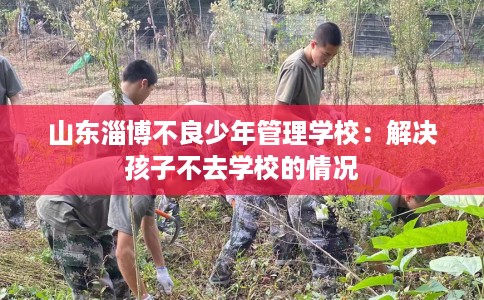 山东淄博不良少年管理学校：解决孩子不去学校的情况