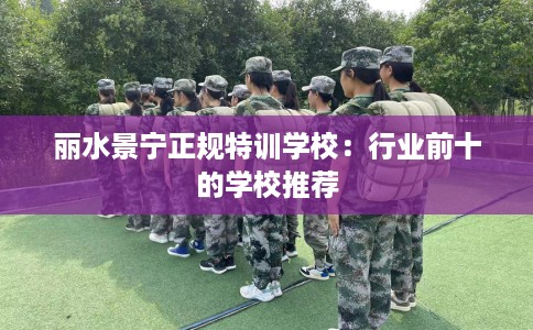 丽水景宁正规特训学校：行业前十的学校推荐