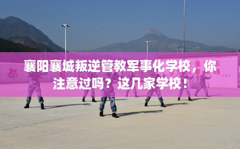 襄阳襄城叛逆管教军事化学校，你注意过吗？这几家学校！