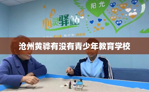 沧州黄骅有没有青少年教育学校