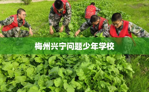 梅州兴宁问题少年学校 梅州兴宁问题少年学校