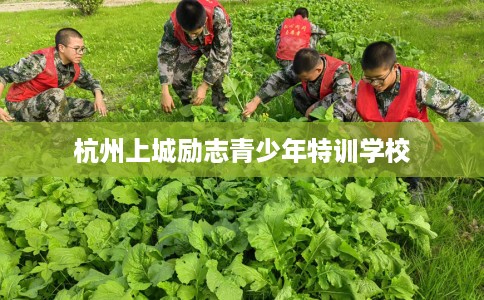 杭州上城励志青少年特训学校