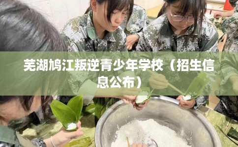 芜湖鸠江叛逆青少年学校（招生信息公布）