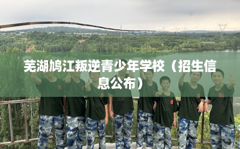 芜湖鸠江叛逆青少年学校（招生信息公布）